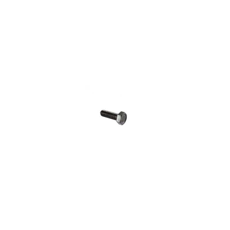 Болт 00001-0060436-308 М8*1,25*25 (БелЗАН)